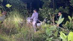 柬埔寨偏僻林区发现男尸
